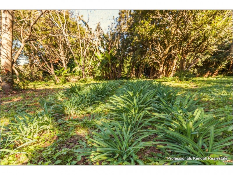 658 Main Western Rd, Tamborine Mountain QLD 4272