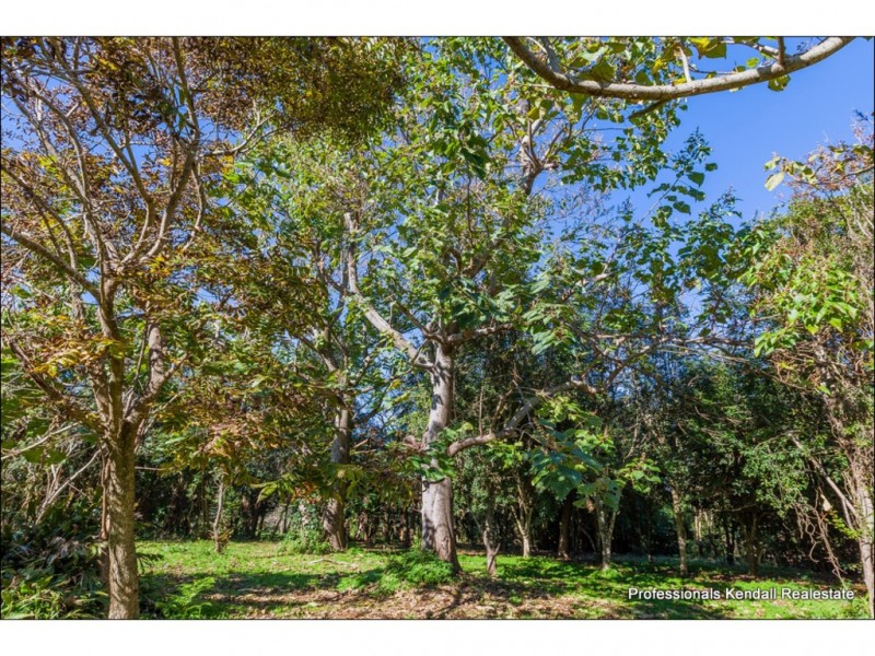 658 Main Western Rd, Tamborine Mountain QLD 4272