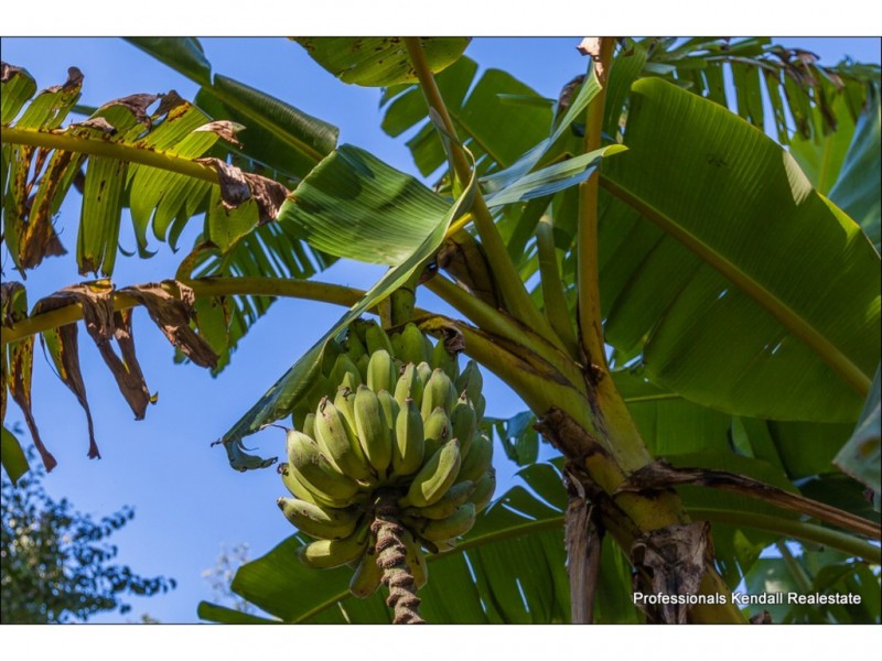 658 Main Western Rd, Tamborine Mountain QLD 4272