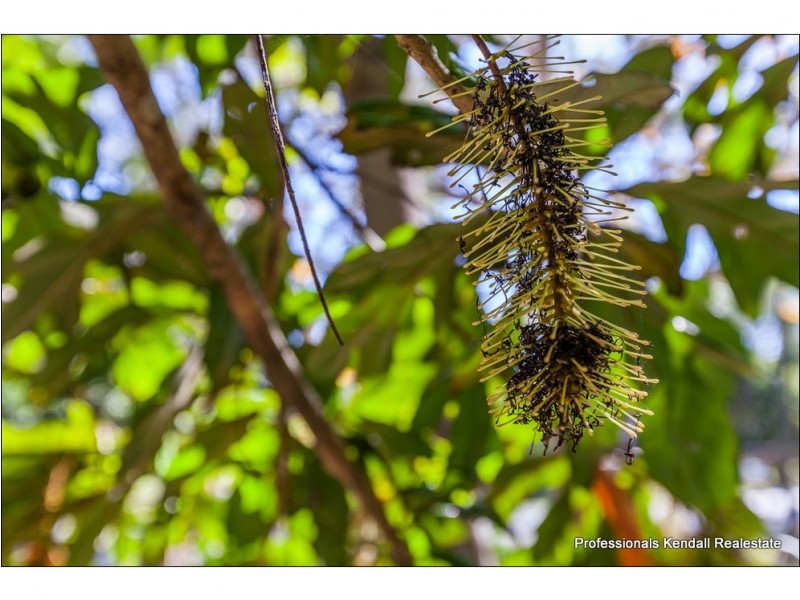 658 Main Western Rd, Tamborine Mountain QLD 4272