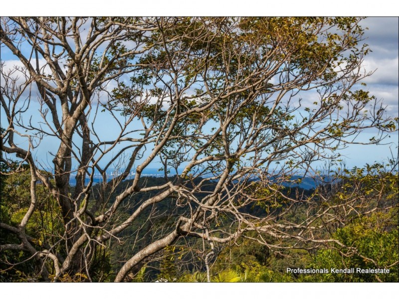 73 Magnetic Drive, Tamborine Mountain QLD 4272