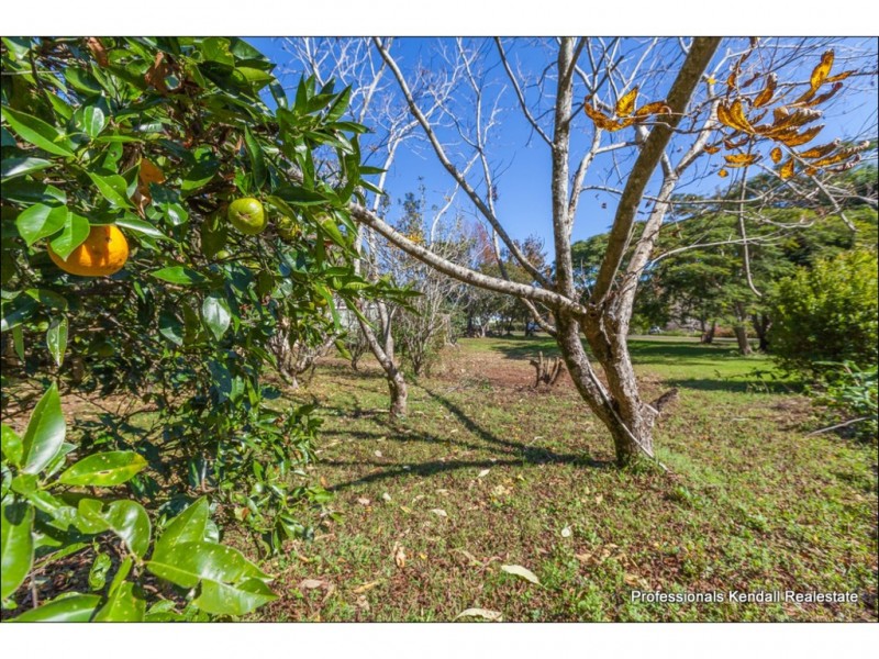 103 Sierra Drive, Tamborine Mountain QLD 4272