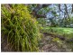 268 Main Western Road, Tamborine Mountain QLD 4272