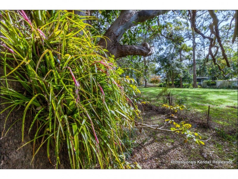 268 Main Western Road, Tamborine Mountain QLD 4272