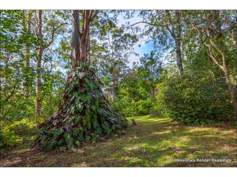 268 Main Western Road, Tamborine Mountain QLD 4272