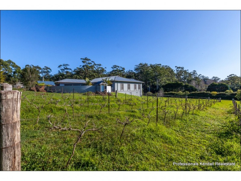9 Curtis Road, Tamborine Mountain QLD 4272