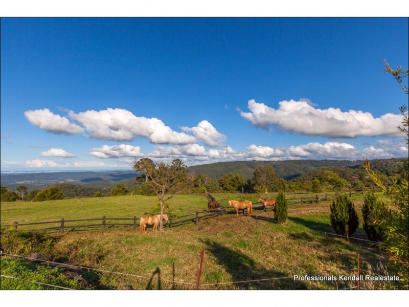 Lot 7 / 163 Curtis Road, Tamborine Mountain QLD 4272
