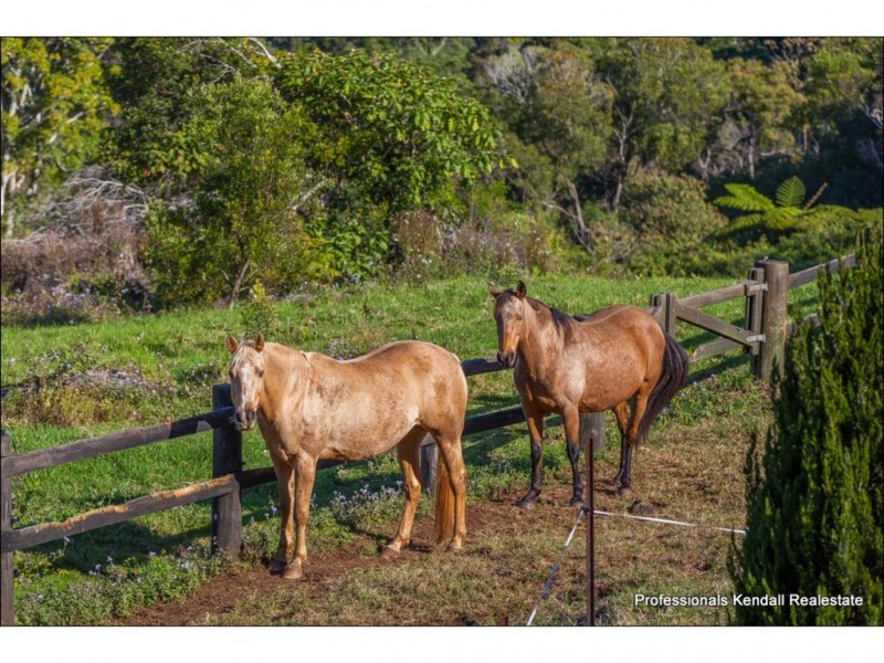Lot 7 / 163 Curtis Road, Tamborine Mountain QLD 4272