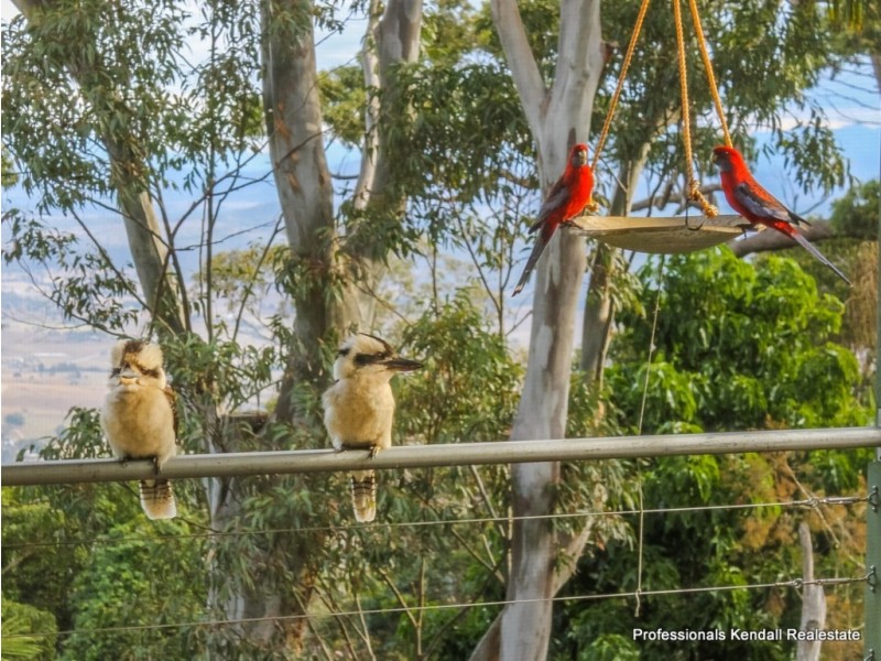 238 Beacon Road, Tamborine Mountain QLD 4272