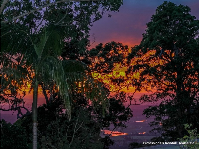238 Beacon Road, Tamborine Mountain QLD 4272