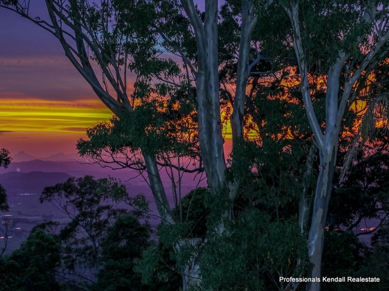 238 Beacon Road, Tamborine Mountain QLD 4272