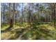 905K Main Western Road, Tamborine Mountain QLD 4272
