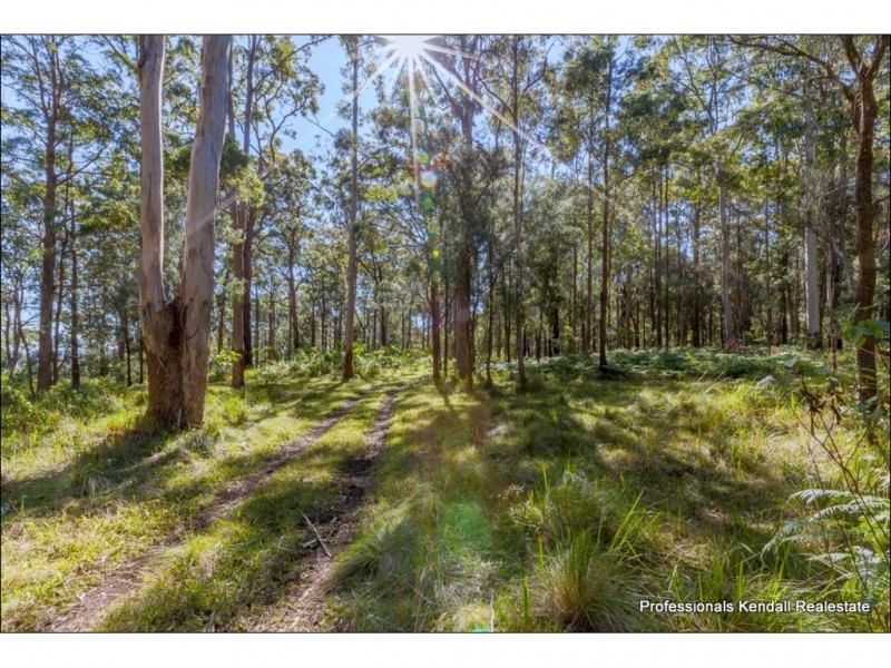 905K Main Western Road, Tamborine Mountain QLD 4272