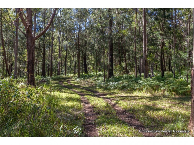 905K Main Western Road, Tamborine Mountain QLD 4272