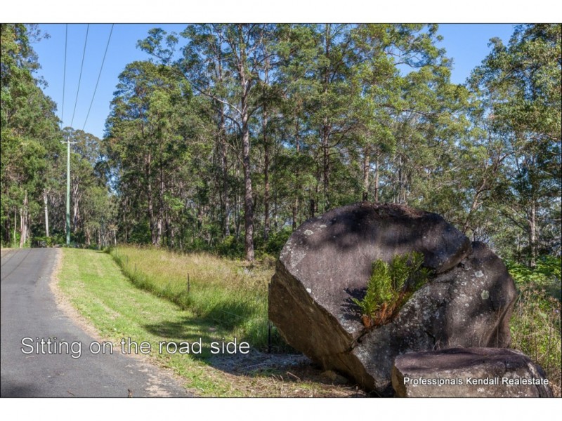 905K Main Western Road, Tamborine Mountain QLD 4272