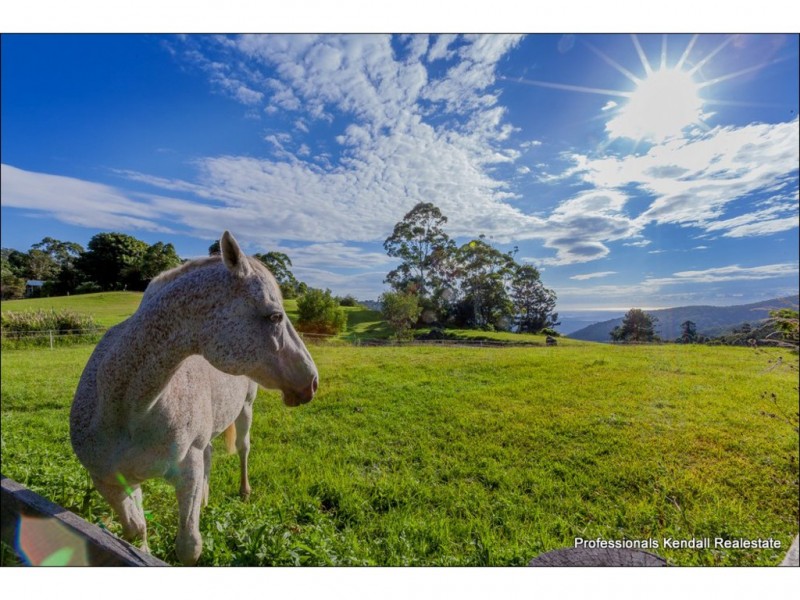 68 The Shelf Road, Tamborine Mountain QLD 4272
