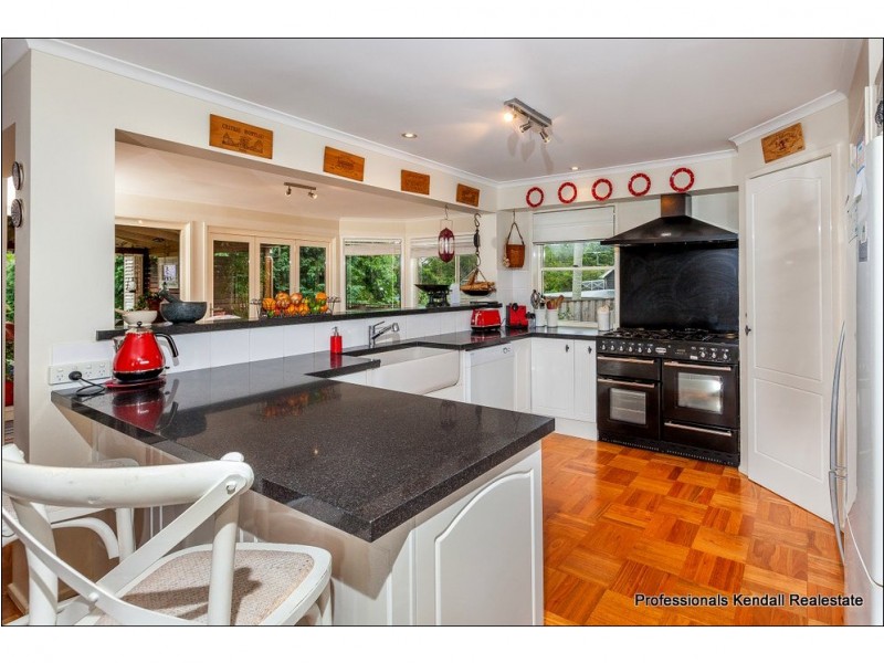 20 Ben Nevis Street, Tamborine Mountain QLD 4272