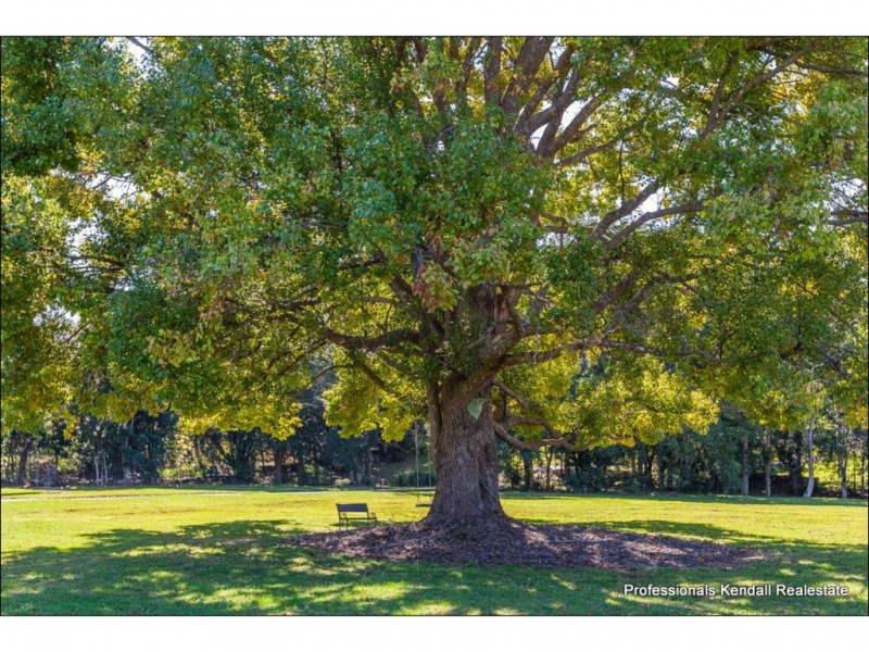 135 Eagle Heights Road, Tamborine Mountain QLD 4272