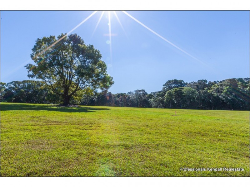 135 Eagle Heights Road, Tamborine Mountain QLD 4272
