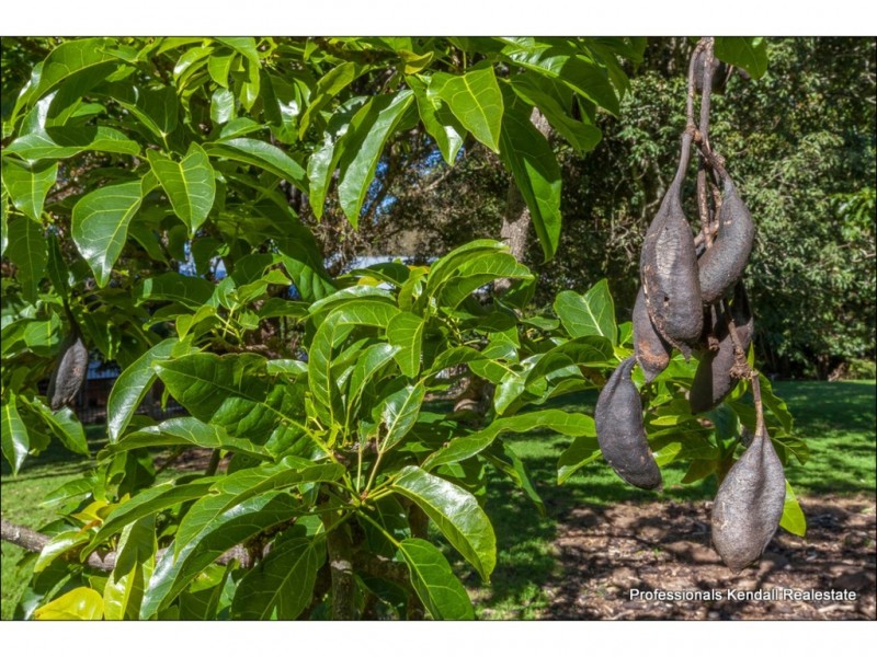 Lot 2 / 135 Eagle Heights Road, Tamborine Mountain QLD 4272