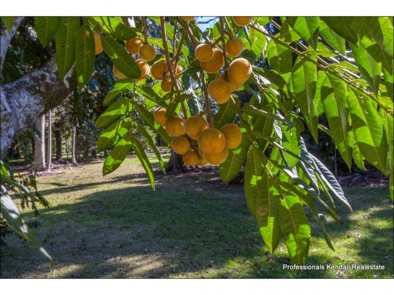 Lot 2 / 135 Eagle Heights Road, Tamborine Mountain QLD 4272
