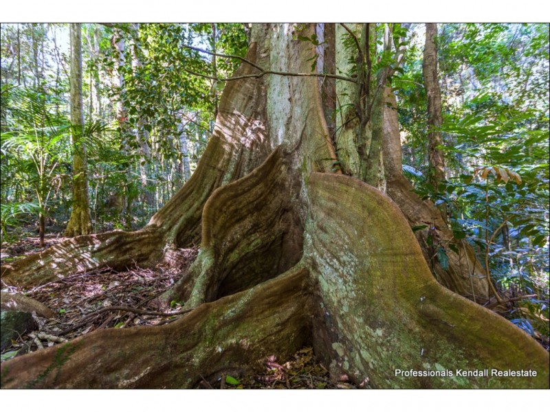 Lot 2 / 135 Eagle Heights Road, Tamborine Mountain QLD 4272
