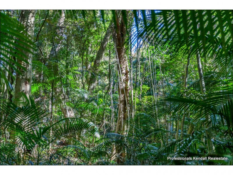 Lot 2 / 135 Eagle Heights Road, Tamborine Mountain QLD 4272