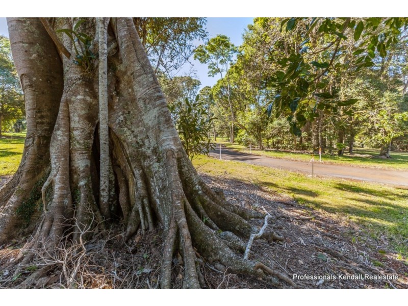Lot 1 / 135 Eagle Heights Road, Tamborine Mountain QLD 4272