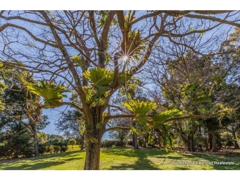 Lot 1 / 135 Eagle Heights Road, Tamborine Mountain QLD 4272