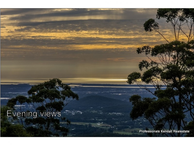 38 Coomera Gorge Drive, Tamborine Mountain QLD 4272