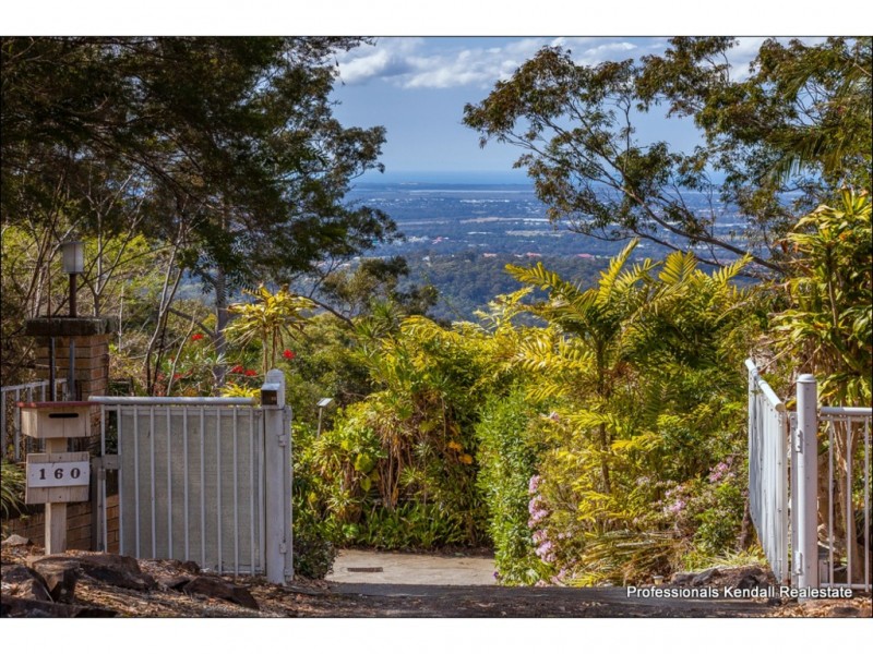 160 Wongawallan Drive, Wongawallan QLD 4210