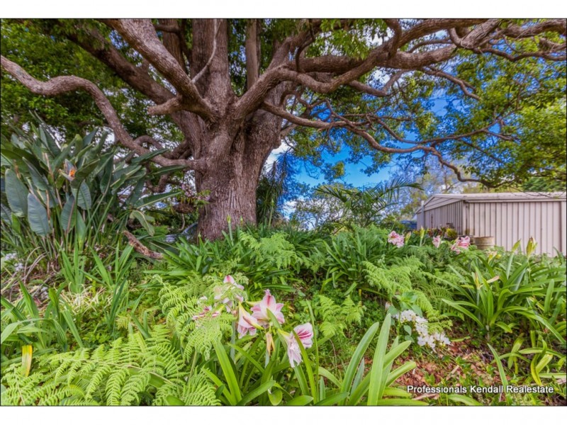 22-42 Holt Road, Tamborine Mountain QLD 4272