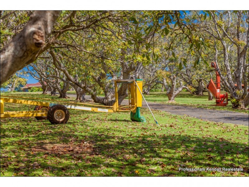22-42 Holt Road, Tamborine Mountain QLD 4272