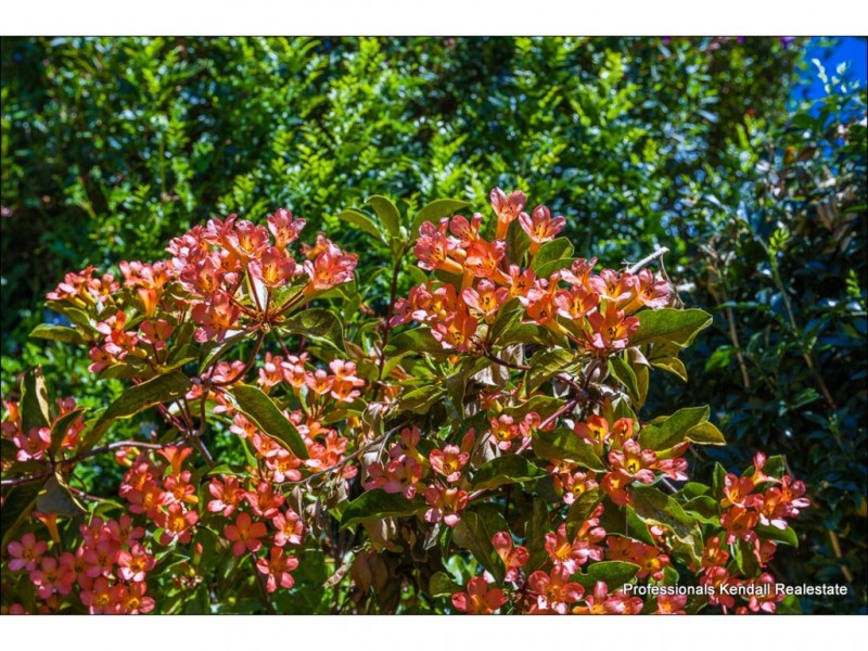 2/14-18 Yuulong Road, Tamborine Mountain QLD 4272