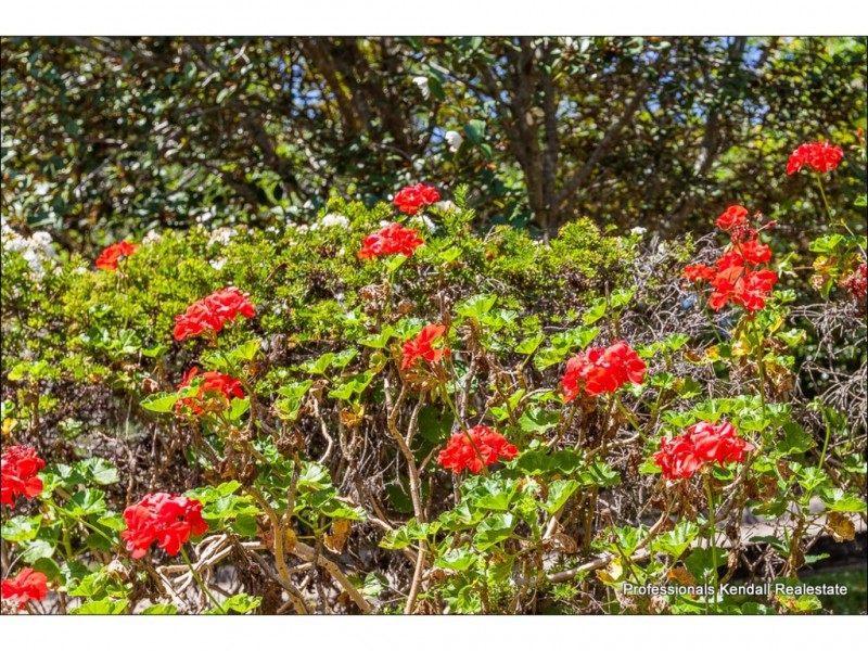 2/14-18 Yuulong Road, Tamborine Mountain QLD 4272