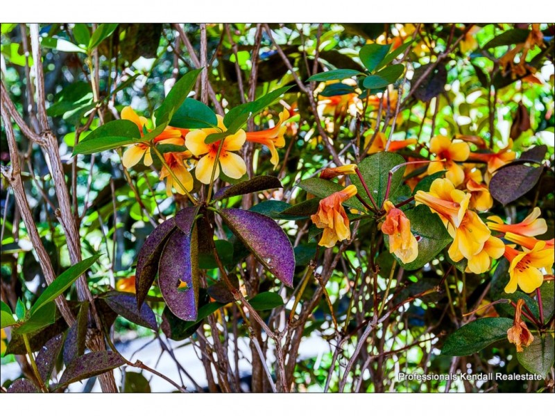 2/14-18 Yuulong Road, Tamborine Mountain QLD 4272