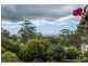 52 Paradise Drive, Tamborine Mountain QLD 4272