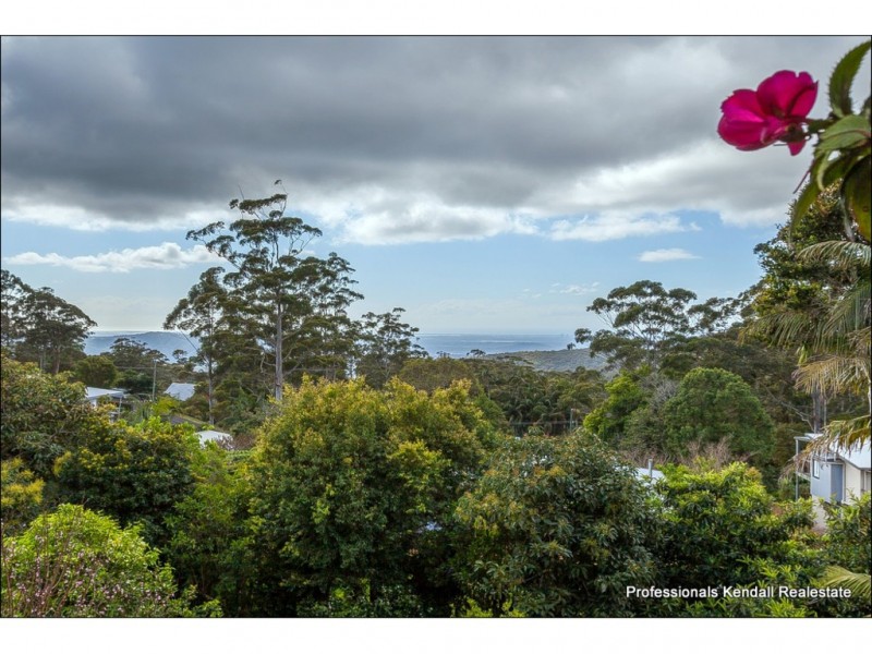 52 Paradise Drive, Tamborine Mountain QLD 4272