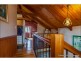 52 Paradise Drive, Tamborine Mountain QLD 4272