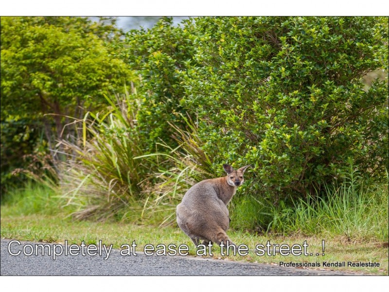Lot 148 Jourdana Drive, Wongawallan QLD 4210