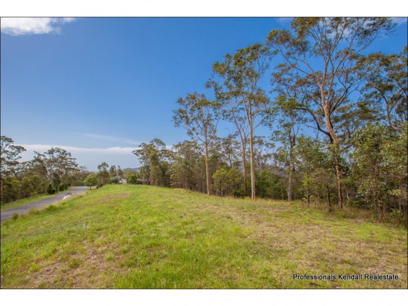 Lot 148 Jourdana Drive, Wongawallan QLD 4210