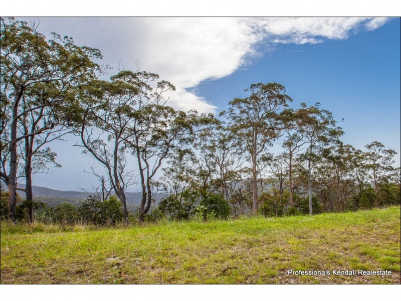 Lot 148 Jourdana Drive, Wongawallan QLD 4210