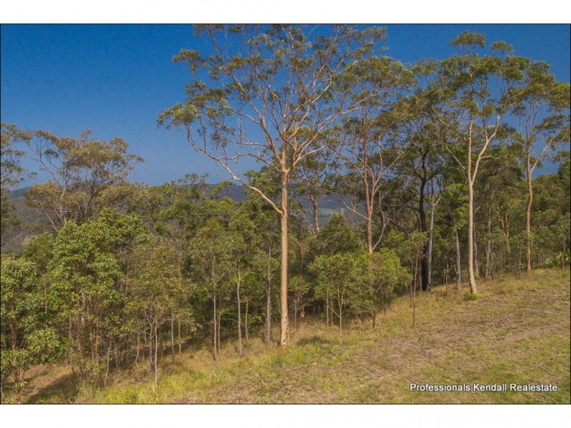 Lot 148 Jourdana Drive, Wongawallan QLD 4210