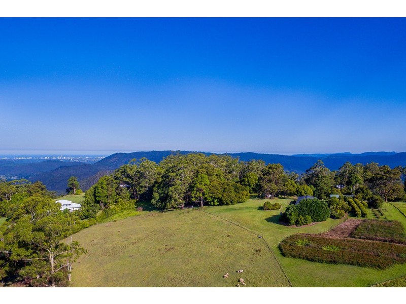 22 Munro Court, Tamborine Mountain QLD 4272
