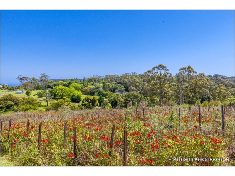 22 Munro Court, Tamborine Mountain QLD 4272