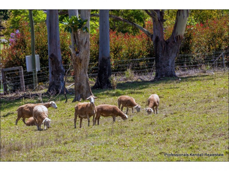 22 Munro Court, Tamborine Mountain QLD 4272