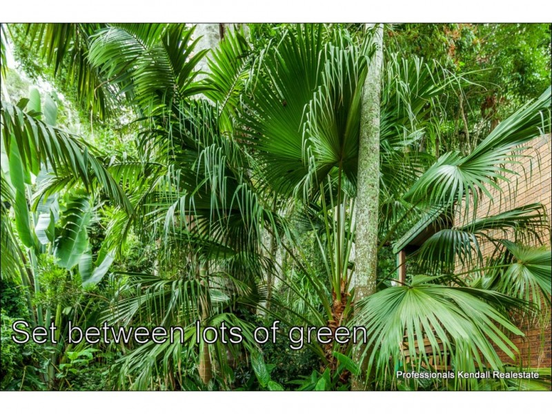 48 Eagle Heights Road, Tamborine Mountain QLD 4272