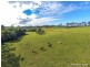 395 Long Road, Tamborine Mountain QLD 4272