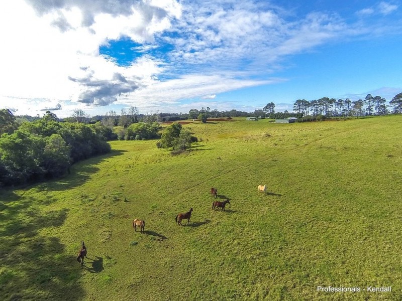 395 Long Road, Tamborine Mountain QLD 4272
