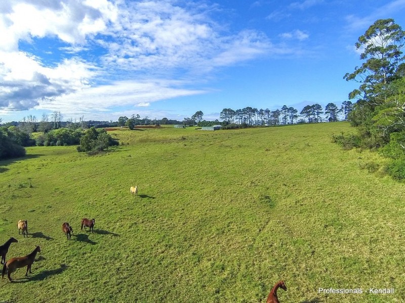 395 Long Road, Tamborine Mountain QLD 4272